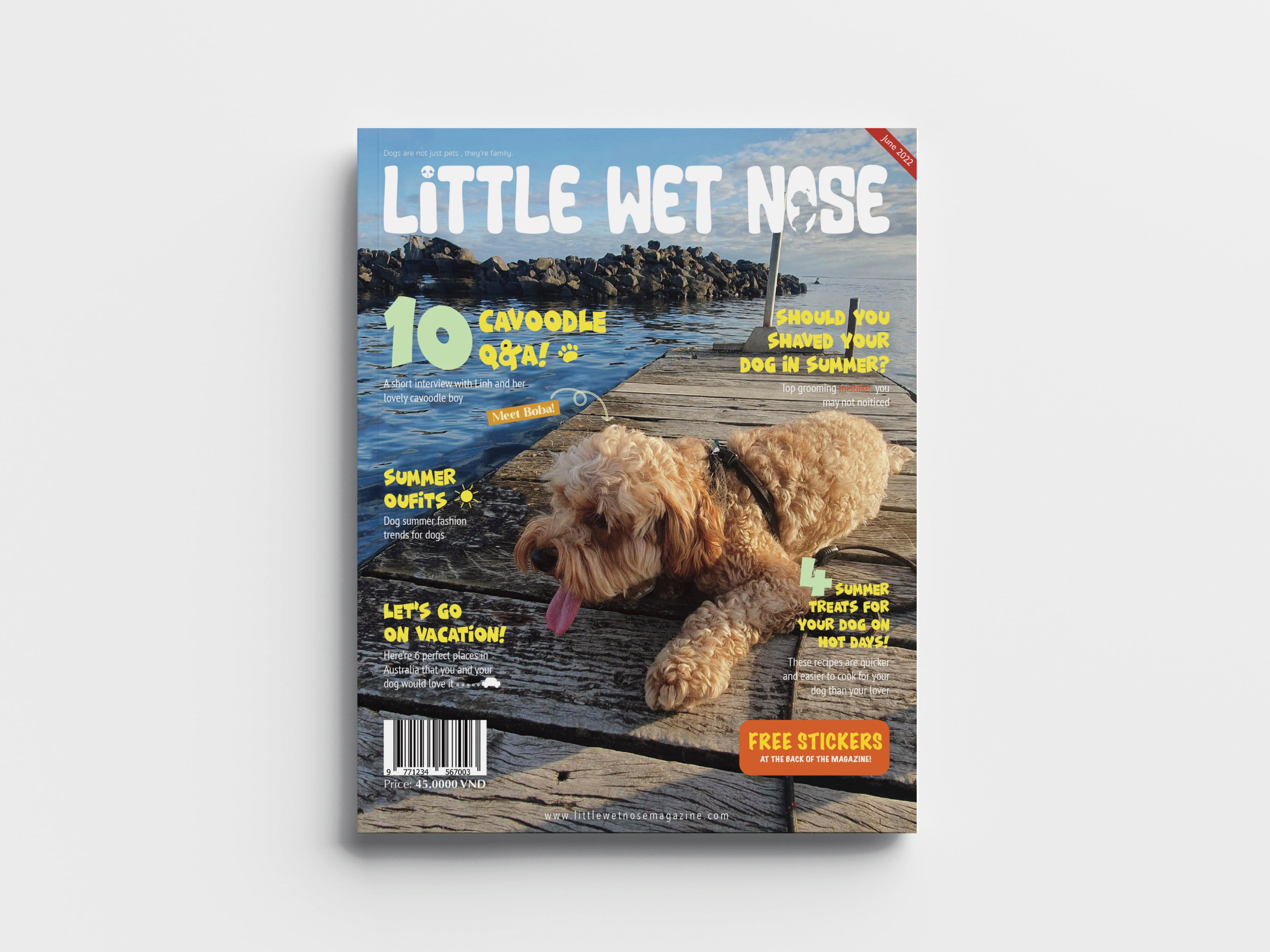 Little wet nose magazine front cover of dog photo